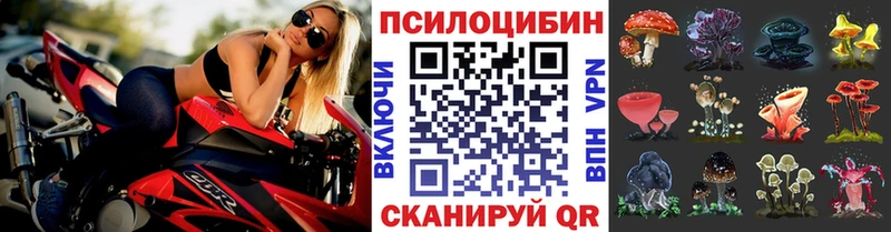 Галлюциногенные грибы Magic Shrooms  Купить где  Южноуральск 